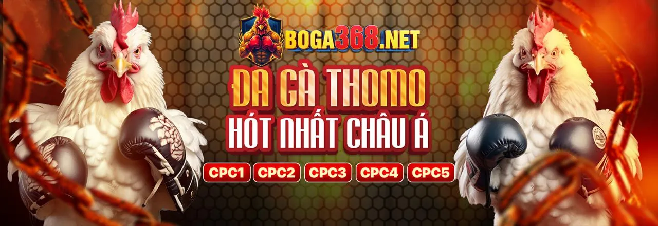Tải Ứng Dụng 7t7707