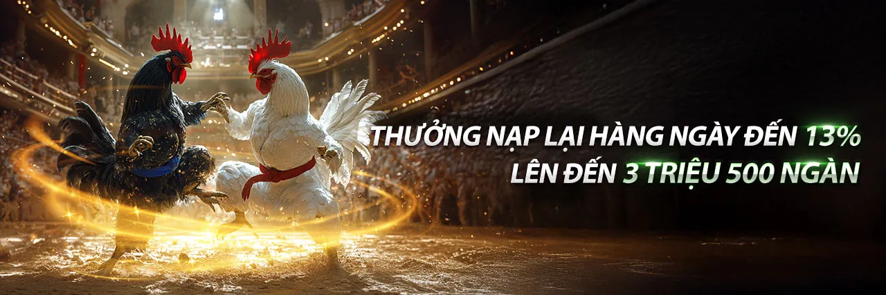 Tin tức chính xác và kịp thời 7t7707